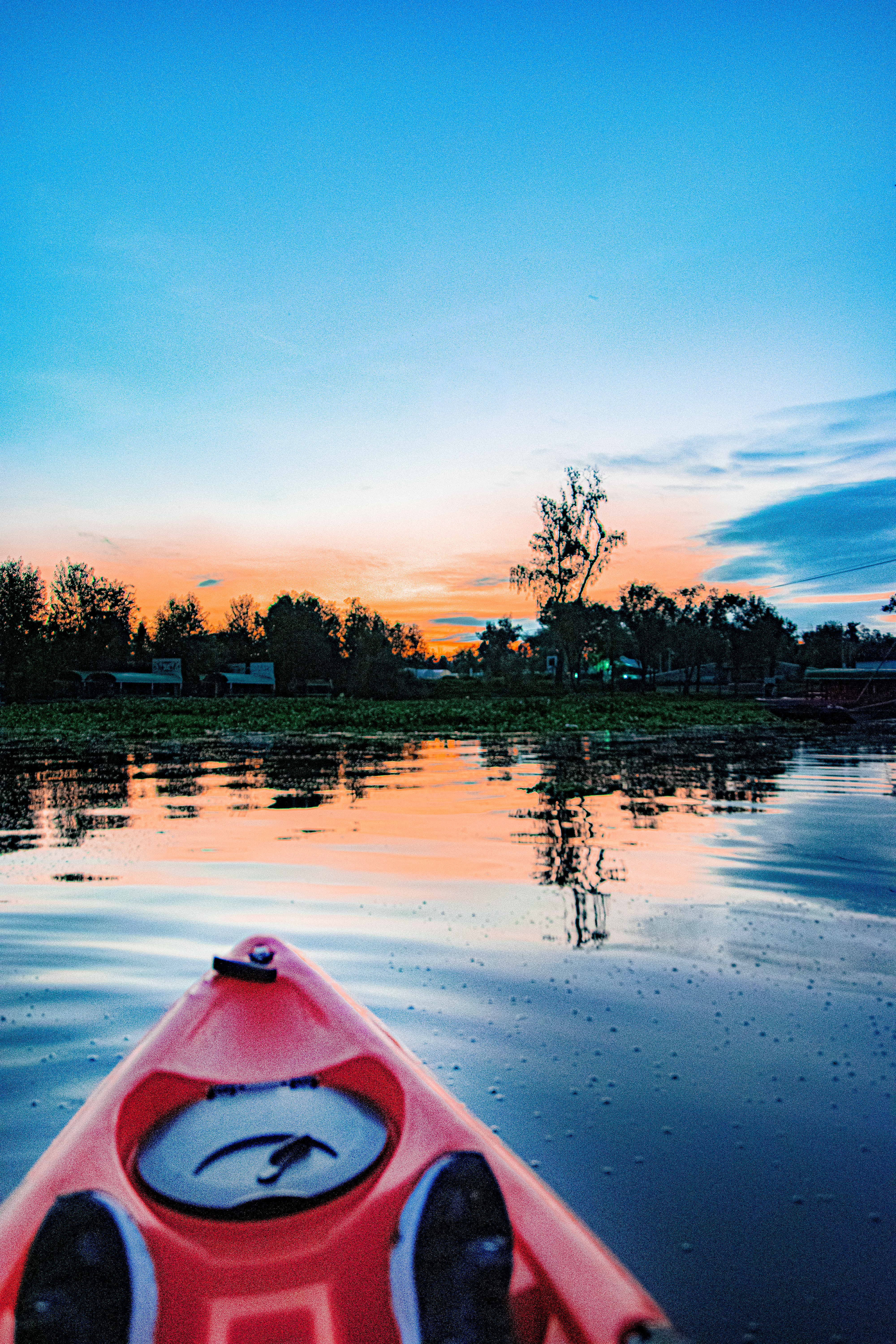 Kayaks de Tlayak