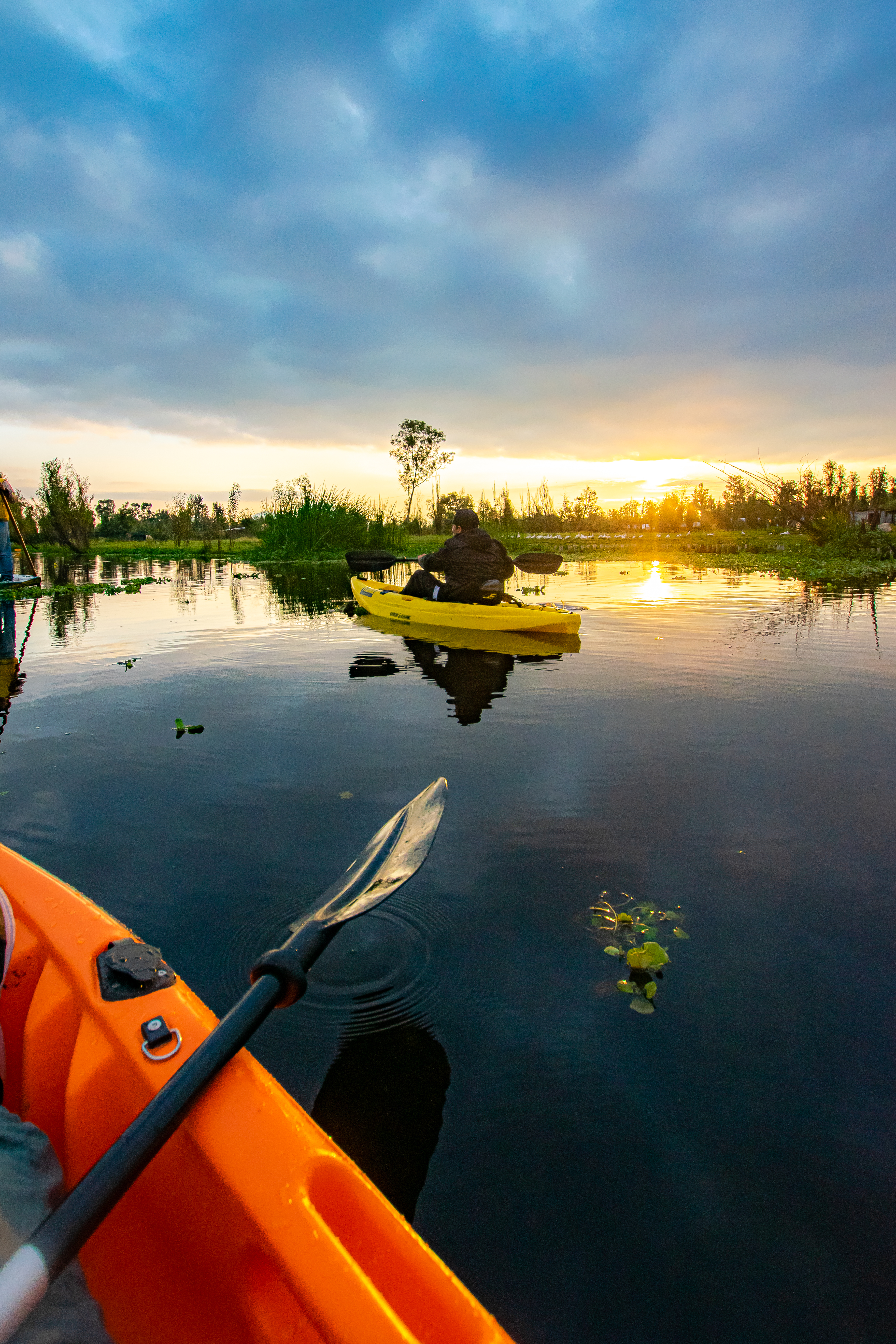 Kayaks de Tlayak